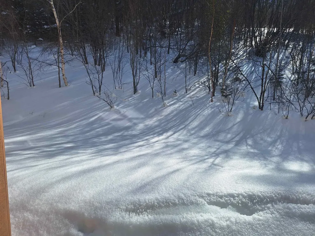 55 Alpine Drive Killington VT 05751