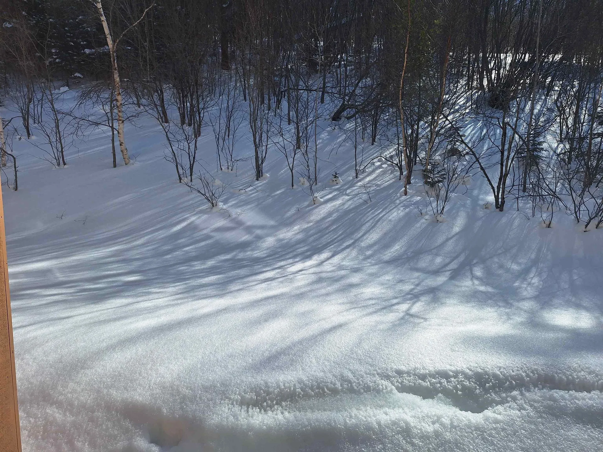 55 Alpine Drive Killington VT 05751