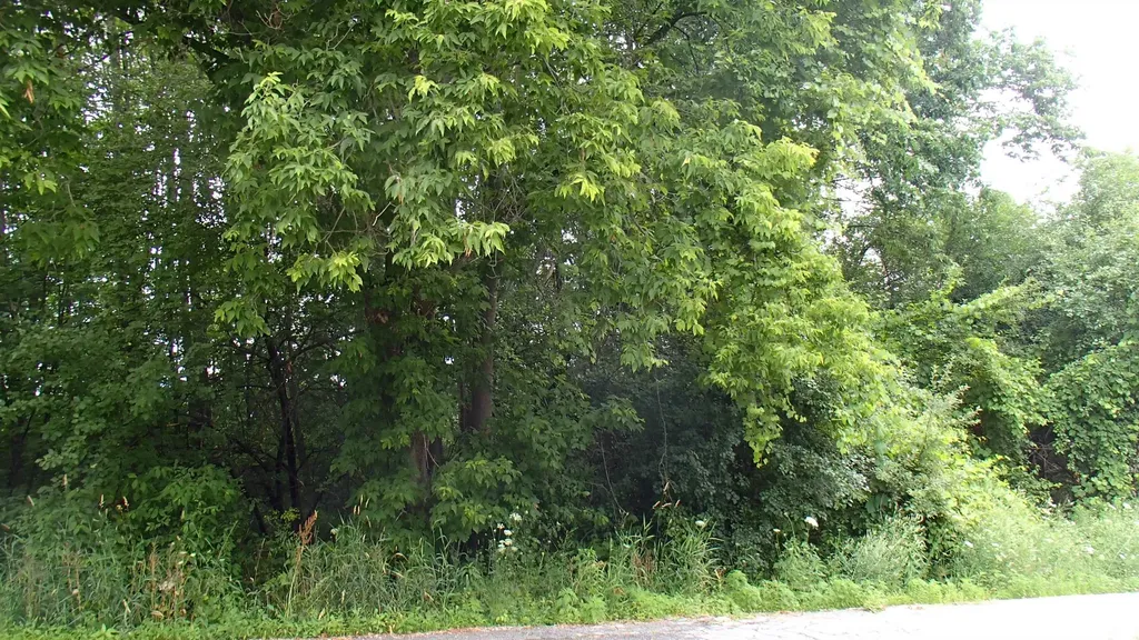 South Lane West Rutland VT 05736