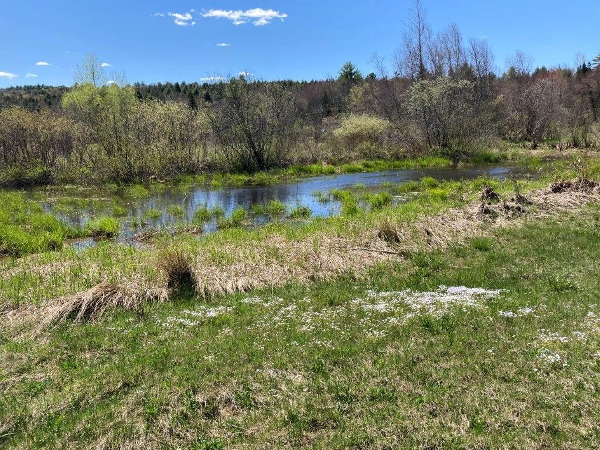 Potato Road Canaan NH 03741