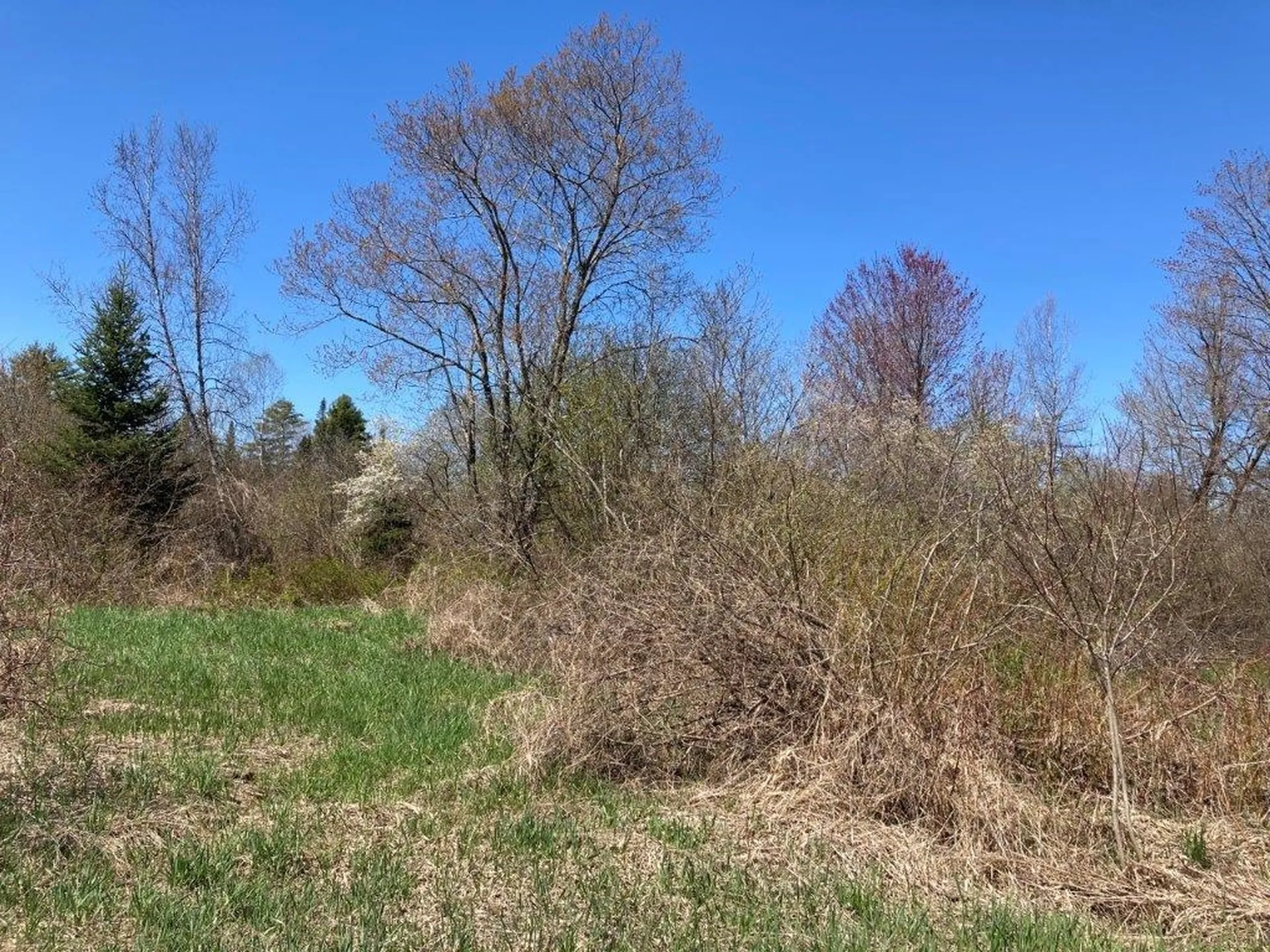 Potato Road Canaan NH 03741