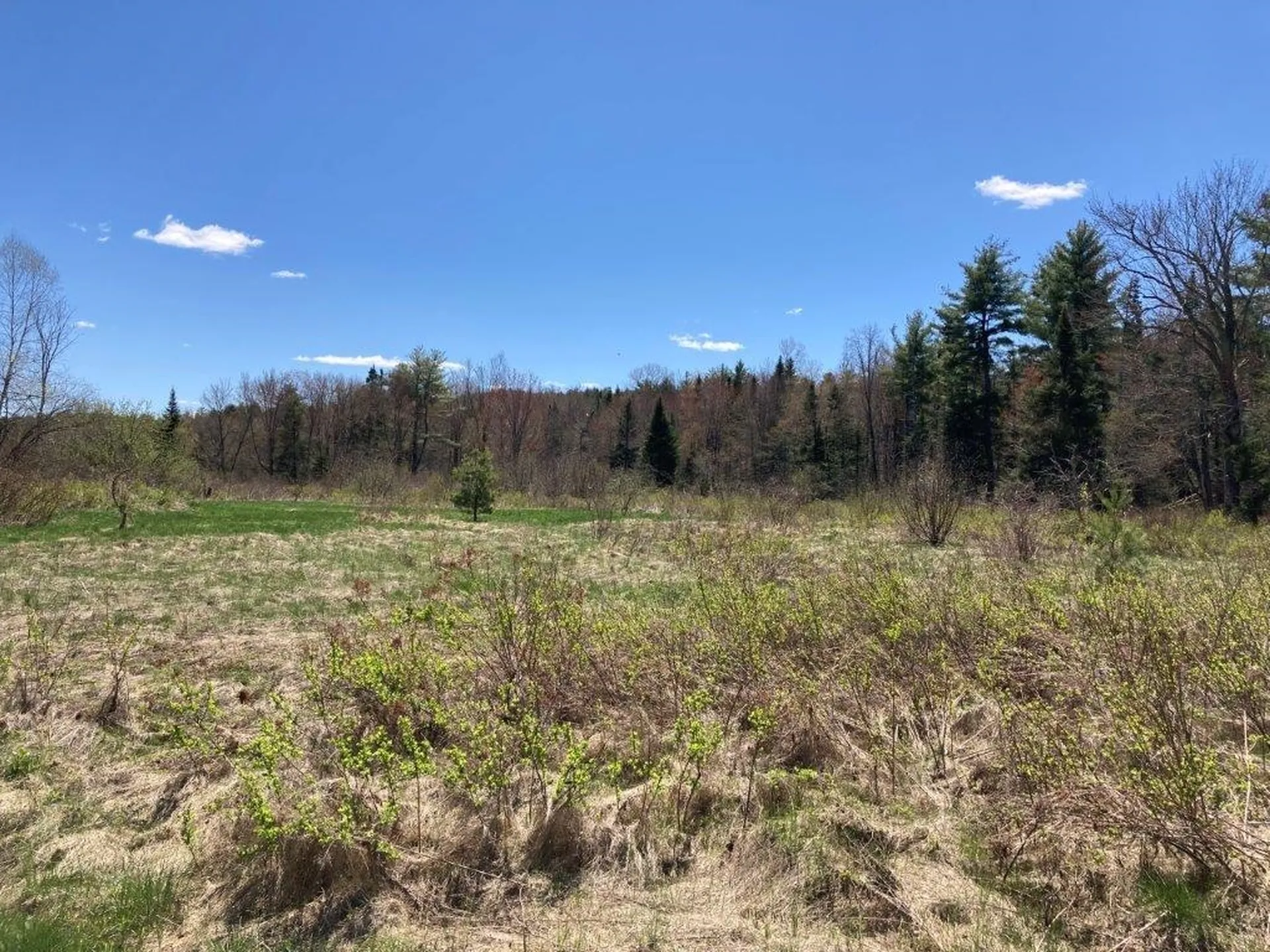 Potato Road Canaan NH 03741