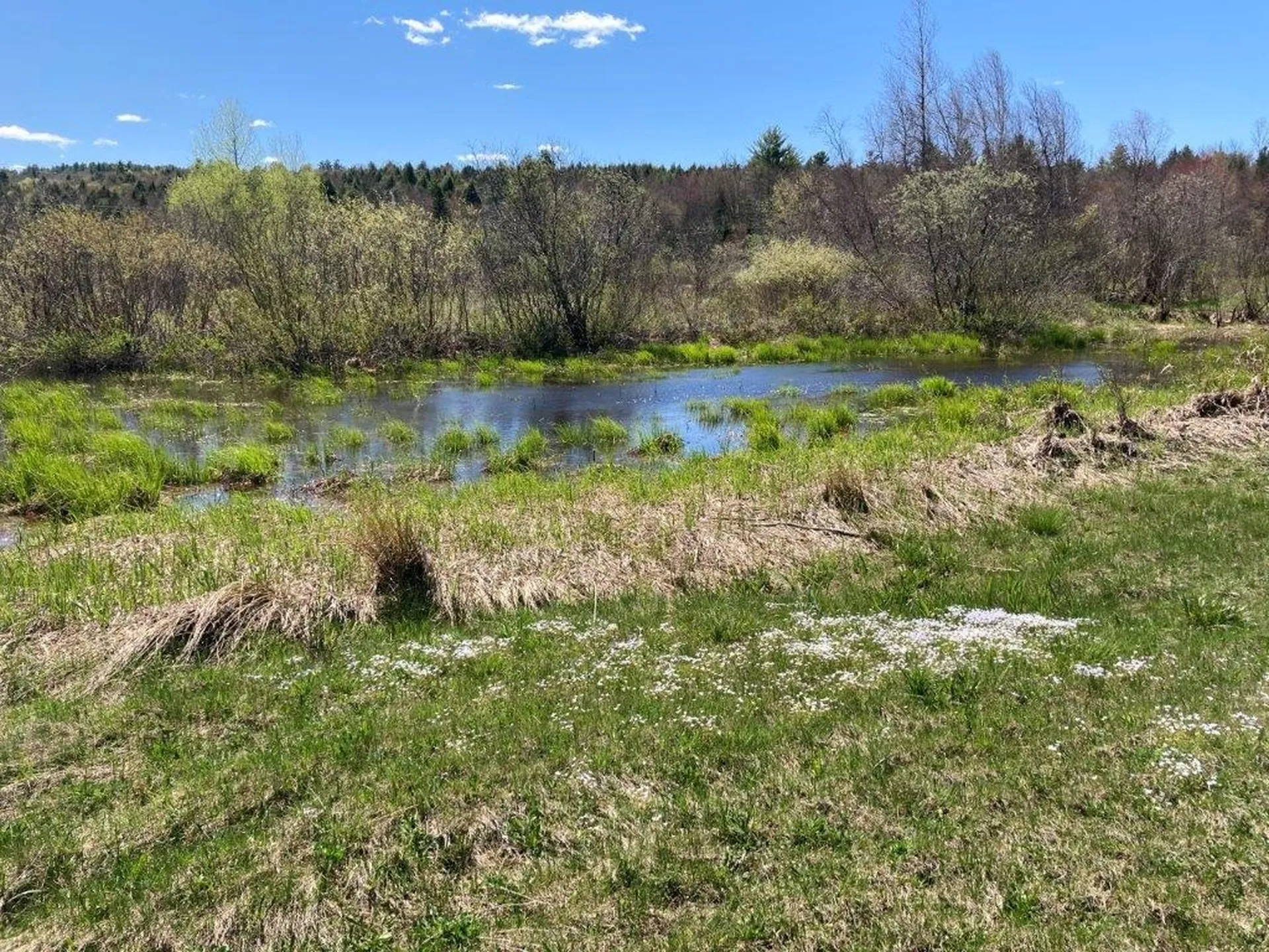 Potato Road Canaan NH 03741