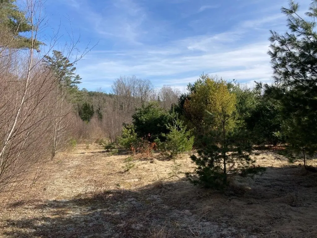 0 Us Route 4 Canaan NH 03741