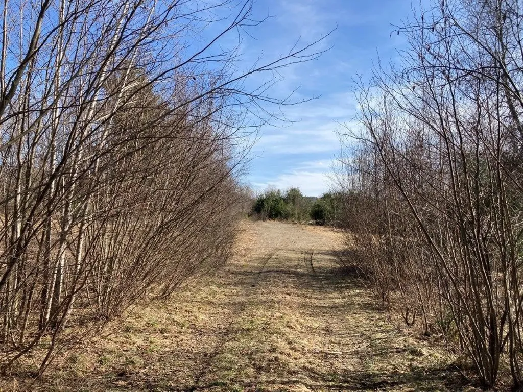 0 Us Route 4 Canaan NH 03741