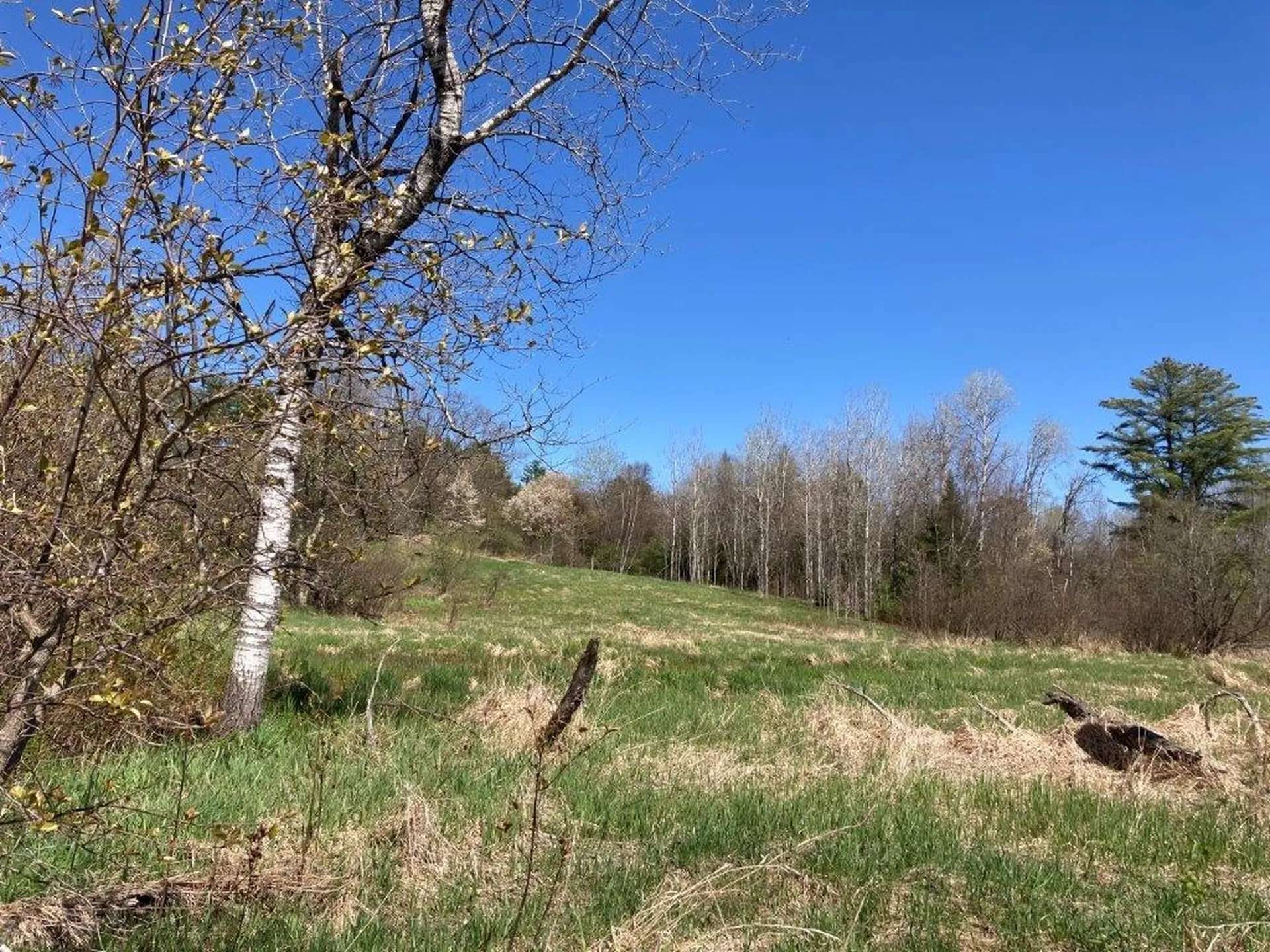 0 Us Route 4 Canaan NH 03741