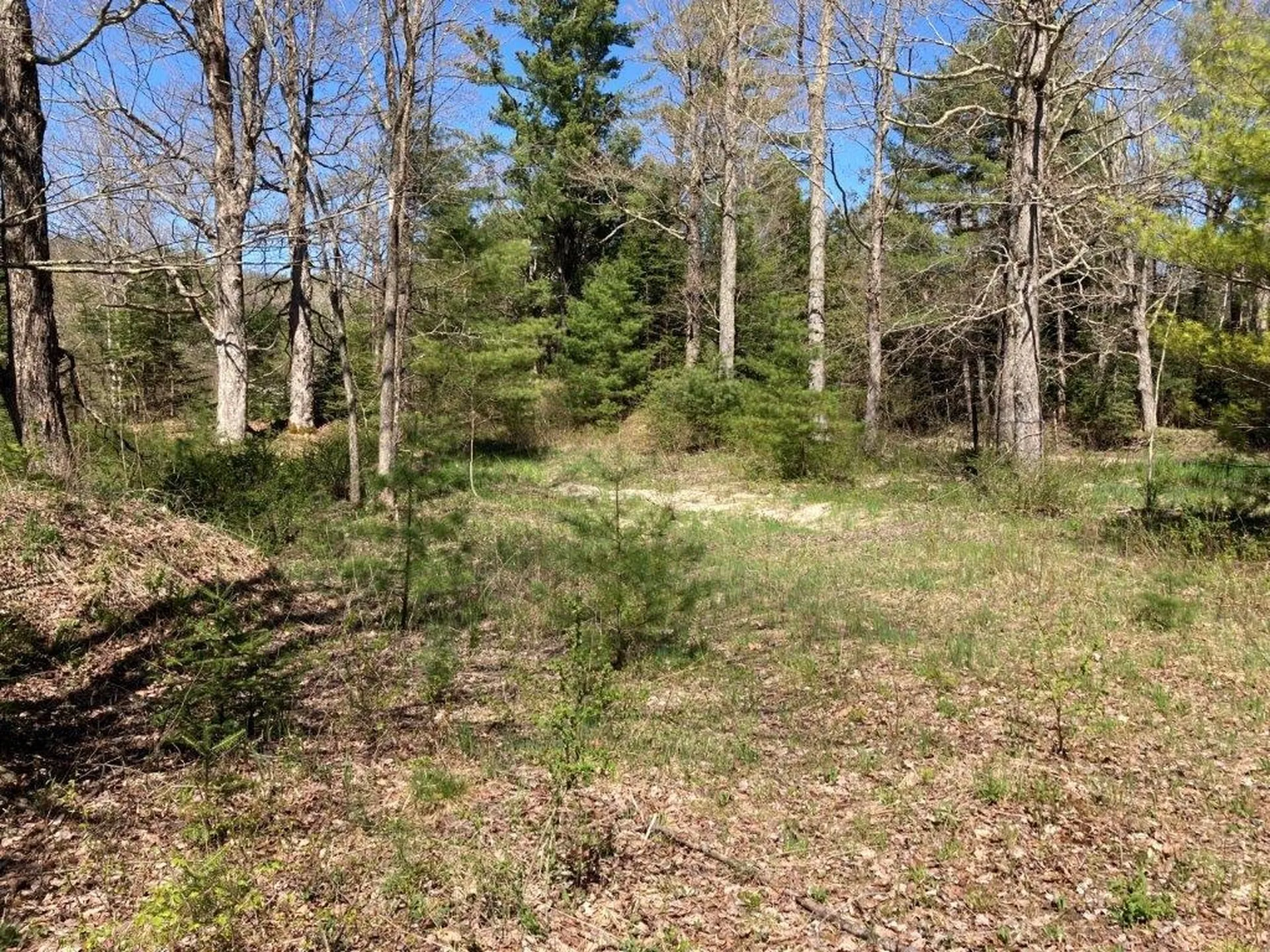 0 Us Route 4 Canaan NH 03741