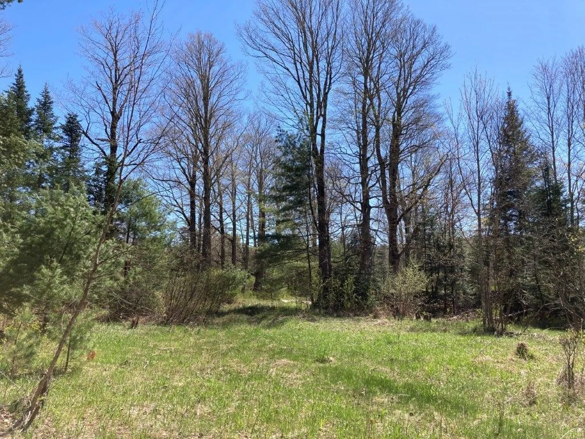 0 Us Route 4 Canaan NH 03741