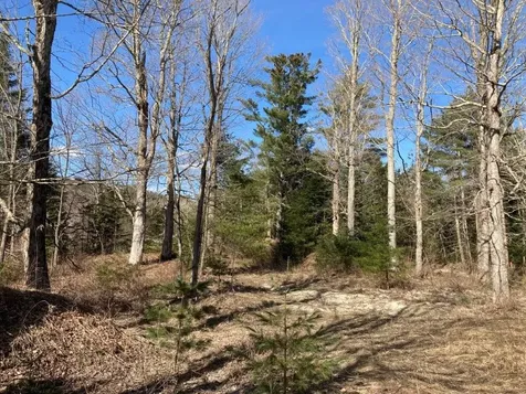 0 Us Route 4 Canaan NH 03741