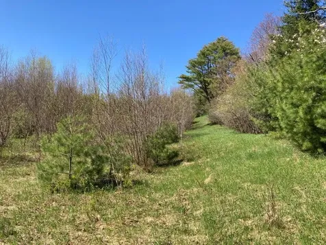 0 Us Route 4 Canaan NH 03741