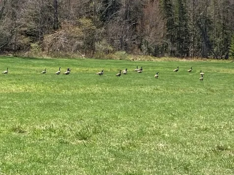 0 Us Route 4 Canaan NH 03741