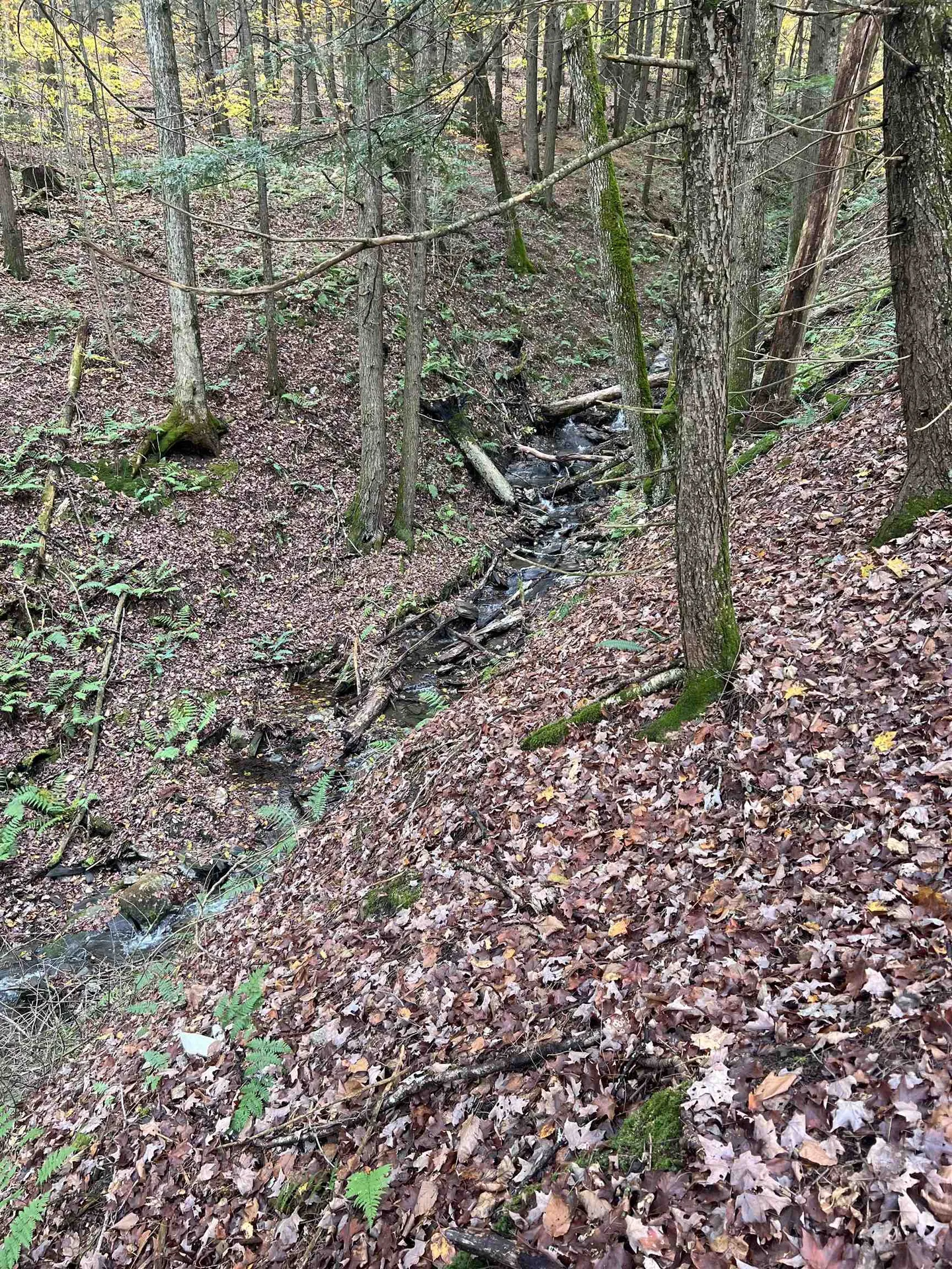 1901 Royalton Hill Road Royalton VT 05068