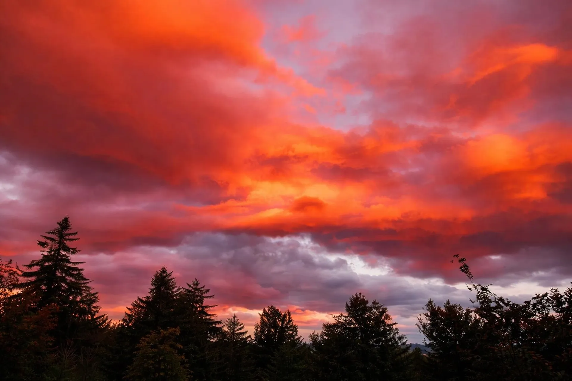 687 Chilafoux Hill Road Irasburg VT 05845