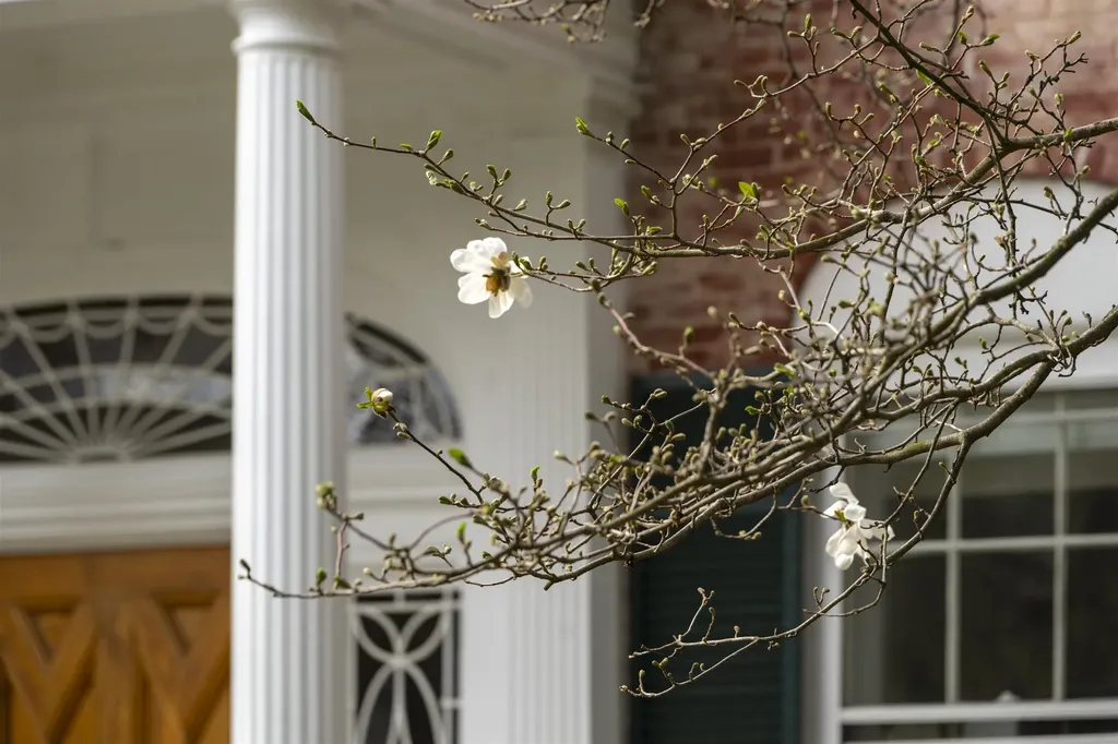 39 Elm Street Woodstock VT 05091