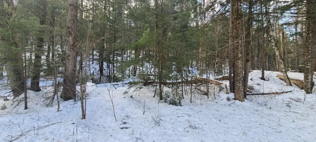 8559 Vt Route 30 Jamaica VT 05343