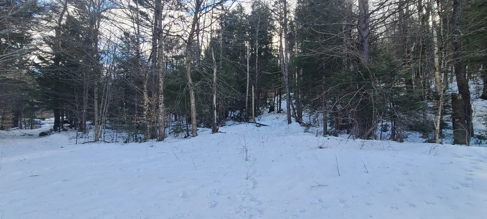 8559 Vt Route 30 Jamaica VT 05343