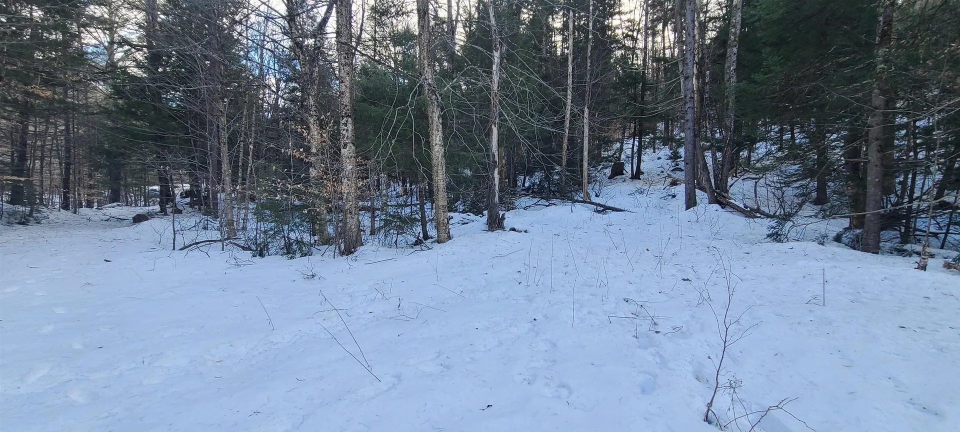 8559 Vt Route 30 Jamaica VT 05343