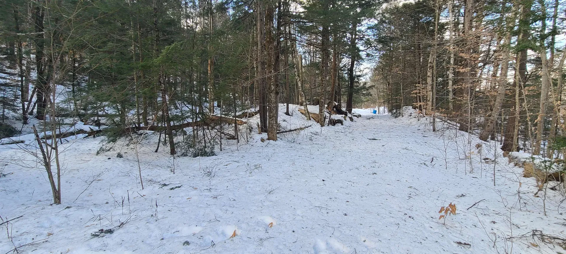 8559 Vt Route 30 Jamaica VT 05343