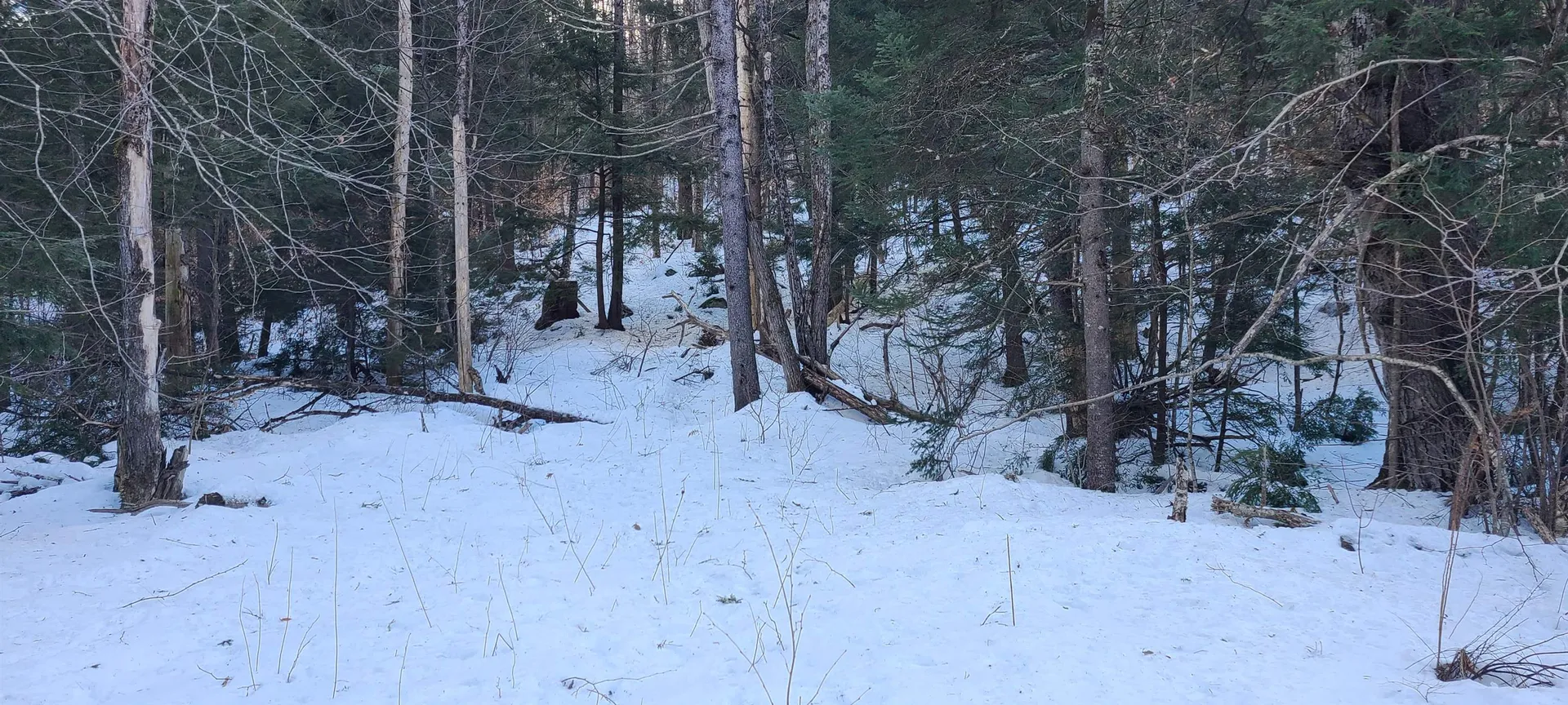 8559 Vt Route 30 Jamaica VT 05343