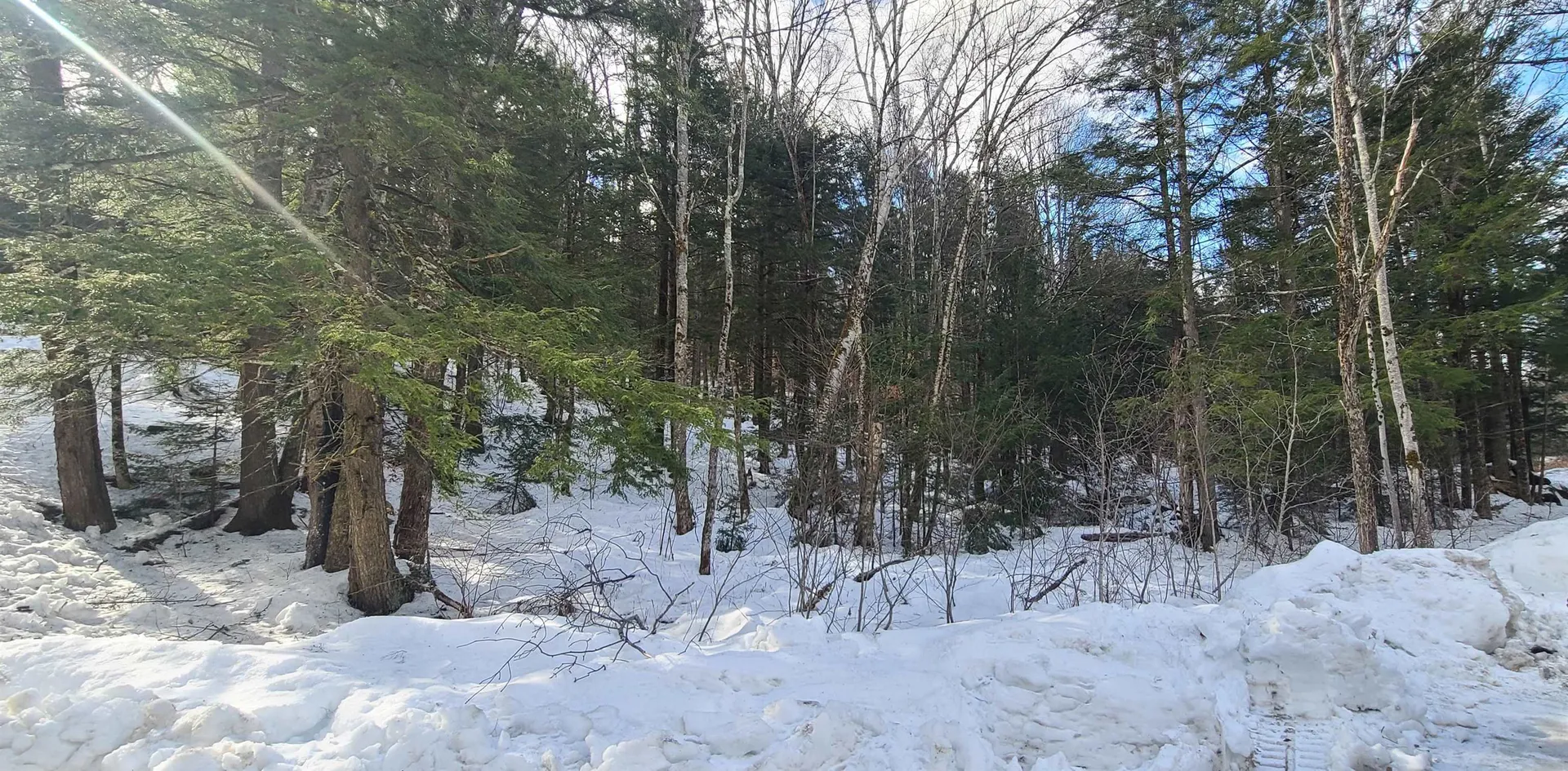 8559 Vt Route 30 Jamaica VT 05343