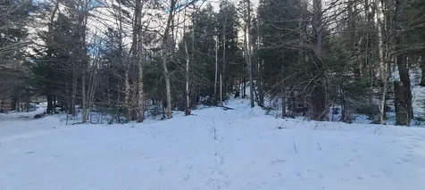 8559 Vt Route 30 Jamaica VT 05343