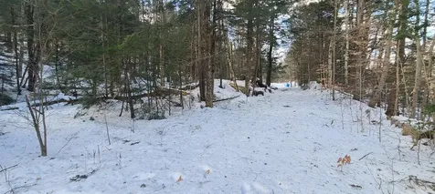 8559 Vt Route 30 Jamaica VT 05343