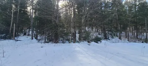 8559 Vt Route 30 Jamaica VT 05343