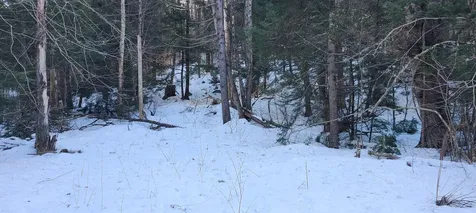 8559 Vt Route 30 Jamaica VT 05343