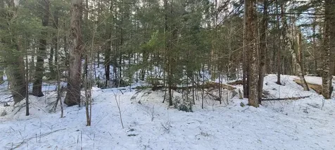 8559 Vt Route 30 Jamaica VT 05343