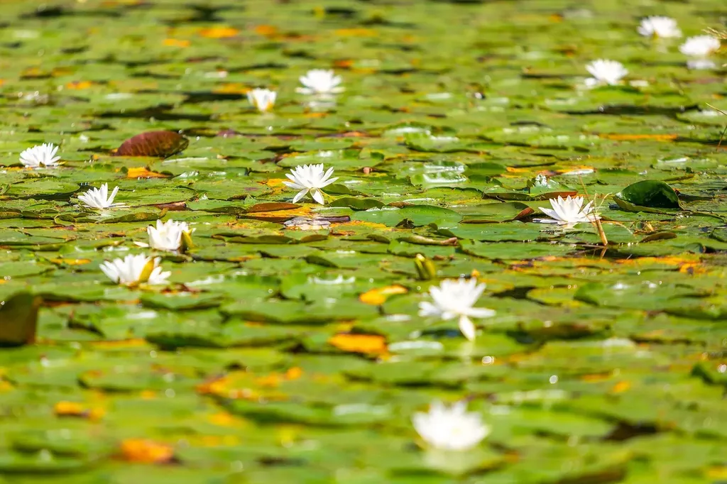 5518 Route 12 Barnard VT 05031