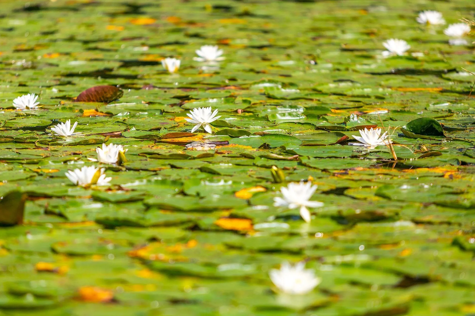 5518 Route 12 Barnard VT 05031