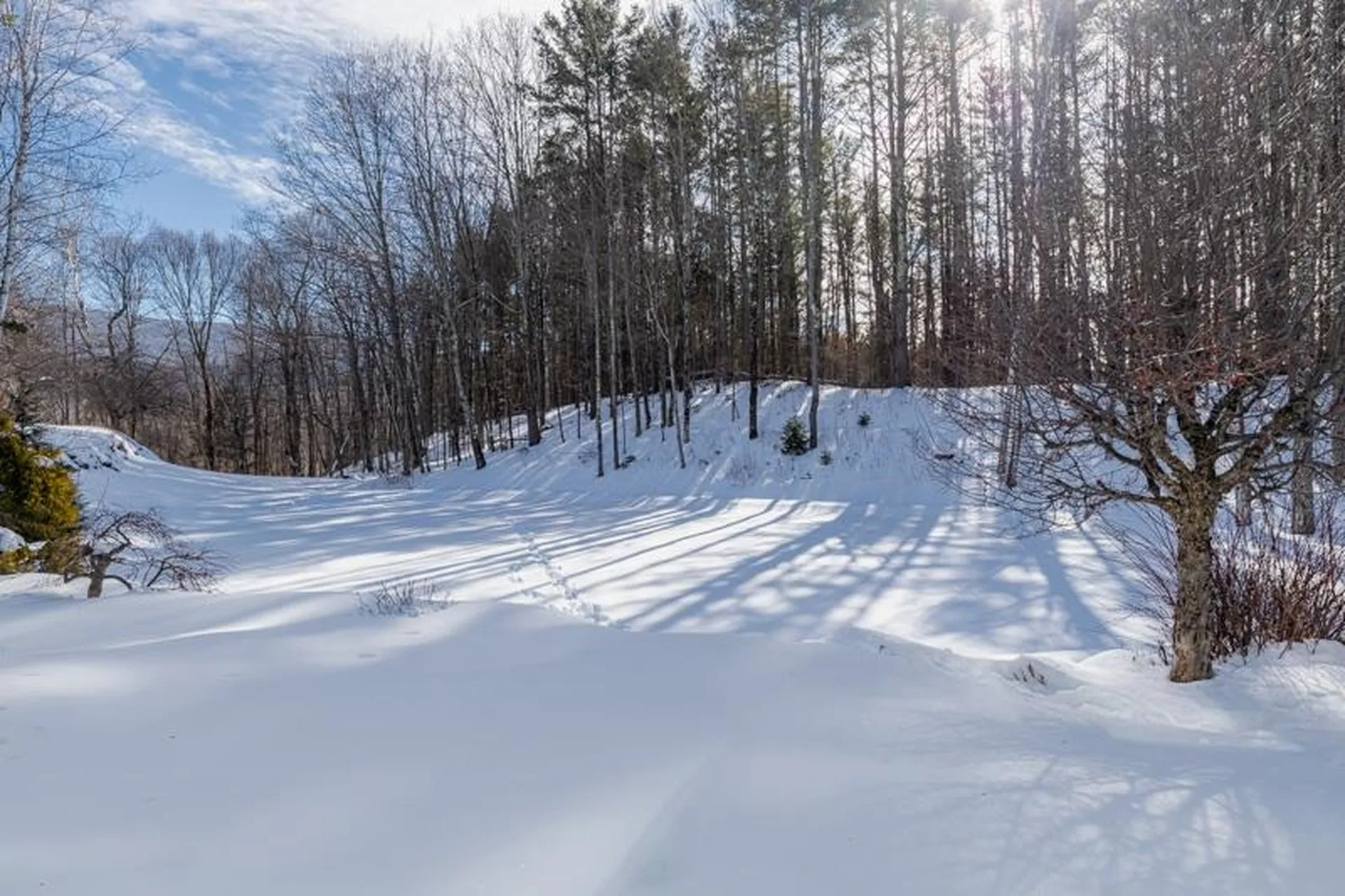 255 Hemlock Ridge Road Manchester VT 05255