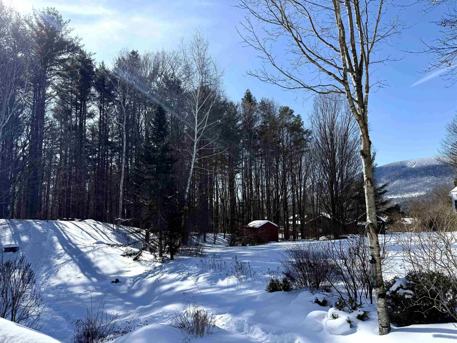 255 Hemlock Ridge Road Manchester VT 05255