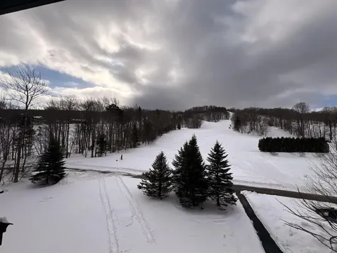 313 Qtr.1, 89 Grand Summit Way Dover VT 05356