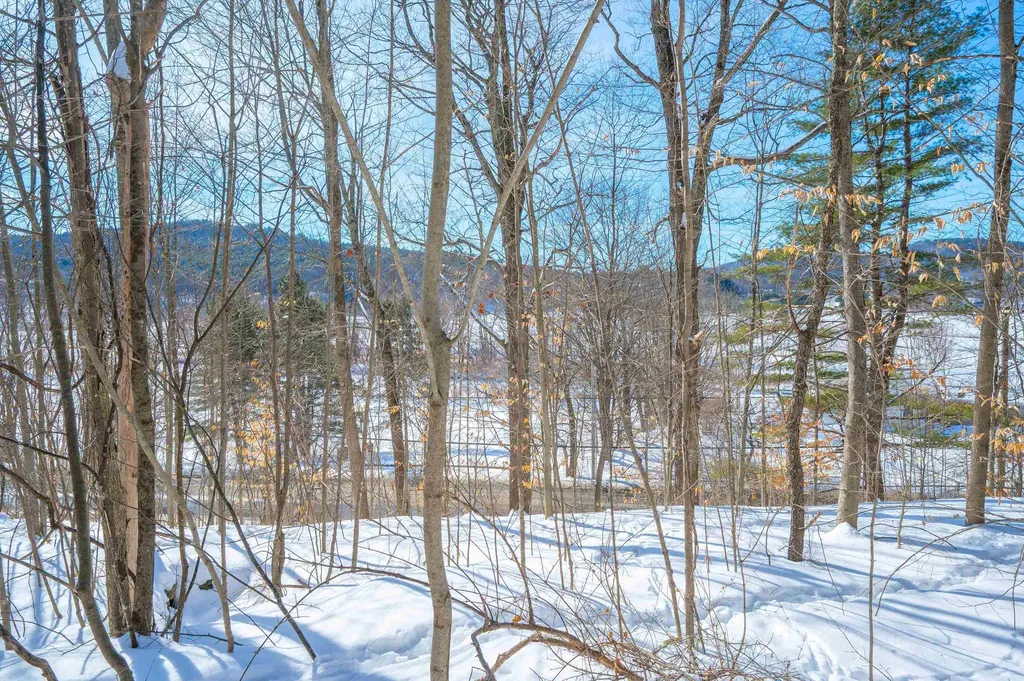 0 Quechee Main Street Hartford VT 05059