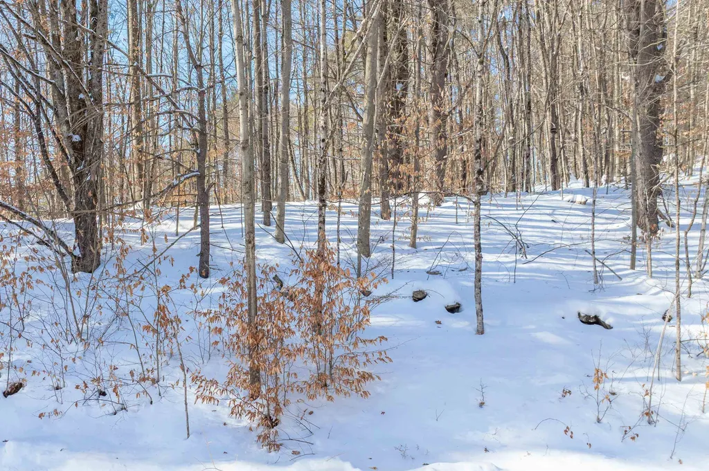 0 Quechee Main Street Hartford VT 05059