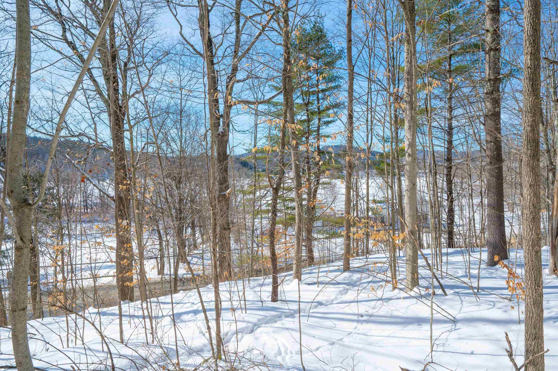 0 Quechee Main Street Hartford VT 05059