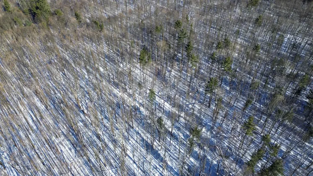 450 Oak Hill Road Williston VT 05495