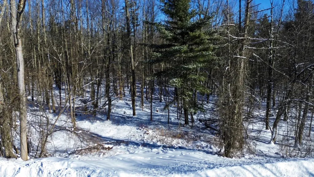 450 Oak Hill Road Williston VT 05495