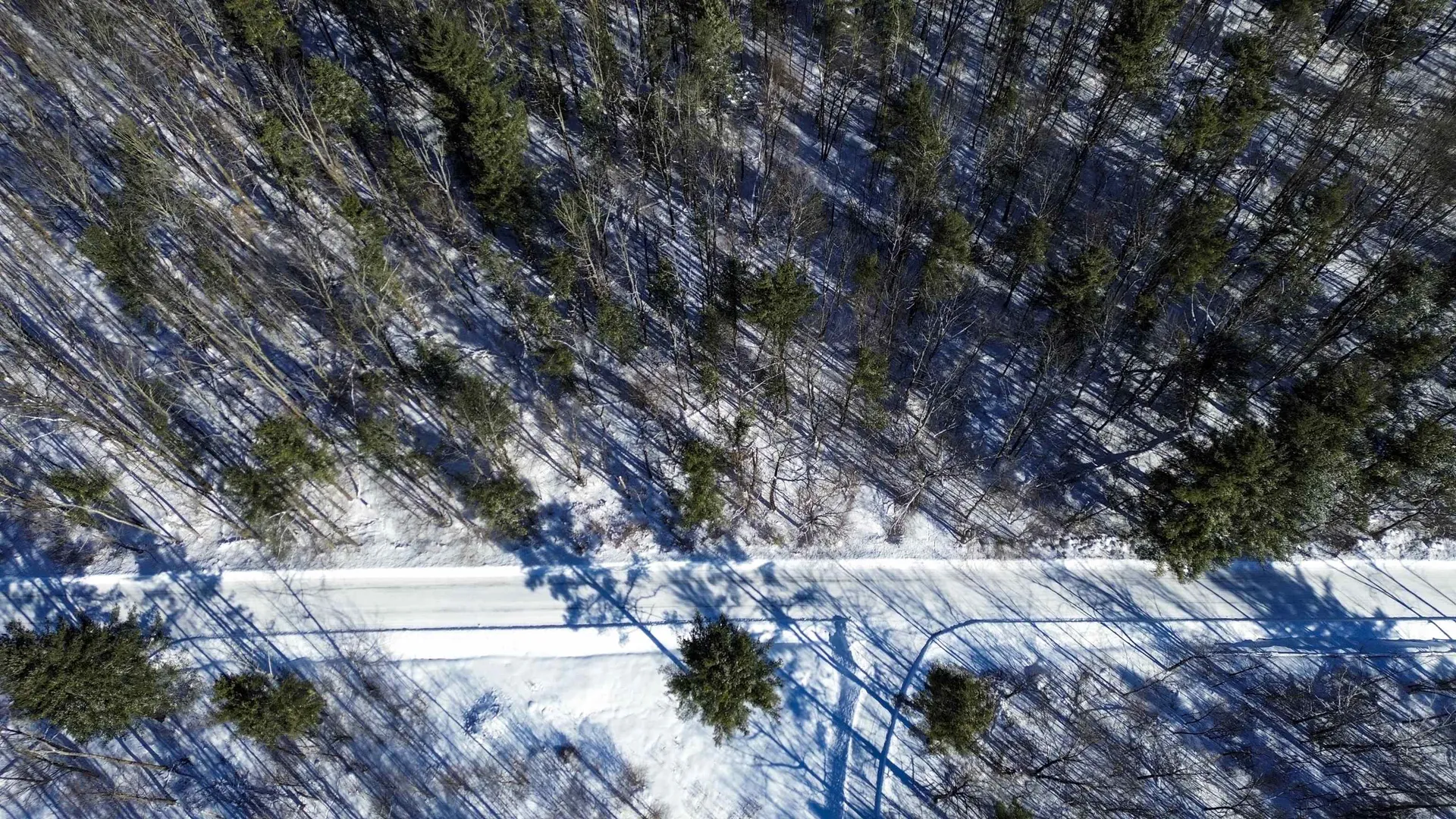 450 Oak Hill Road Williston VT 05495