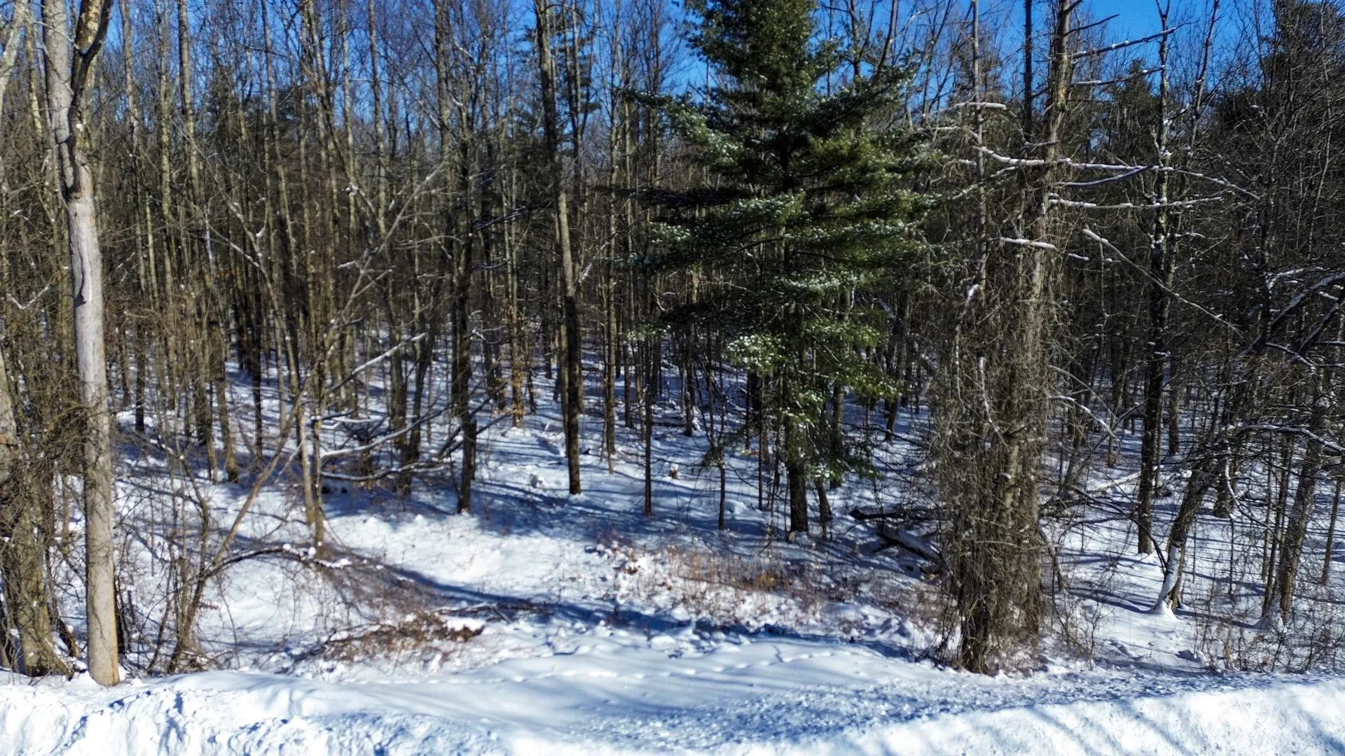 450 Oak Hill Road Williston VT 05495