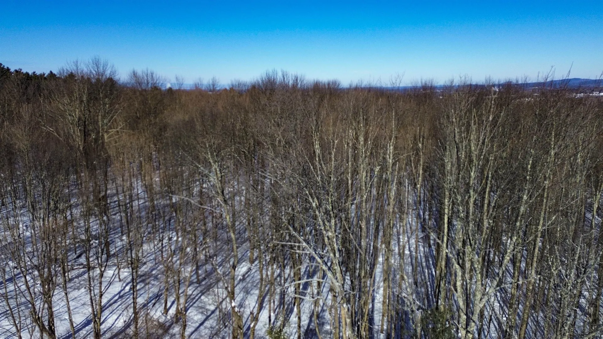 450 Oak Hill Road Williston VT 05495