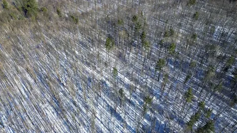 450 Oak Hill Road Williston VT 05495