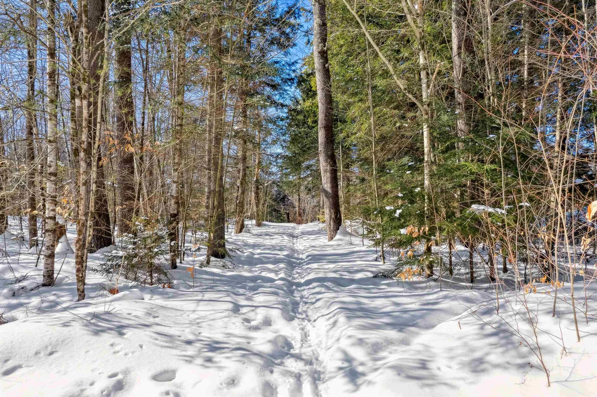142 Rocky Lane Newbury VT 05081