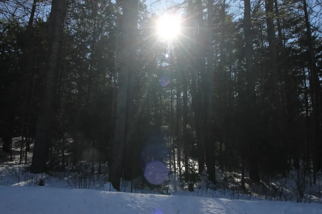 00 Covered Bridge Road Thornton NH 03285