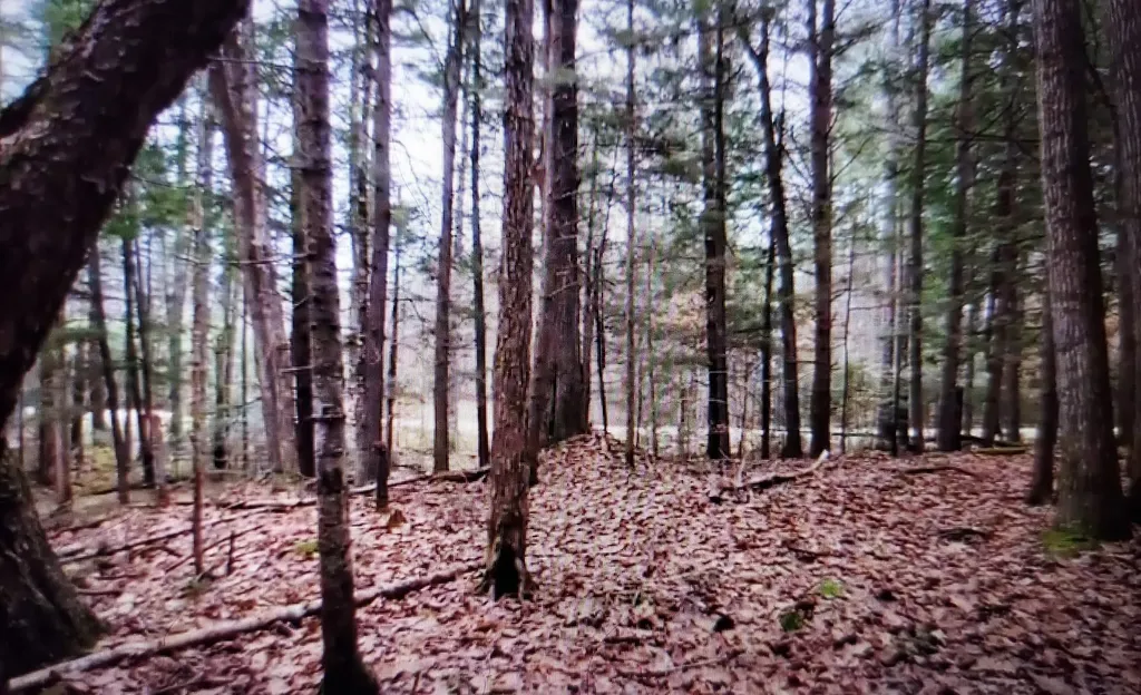 00 Covered Bridge Road Thornton NH 03285