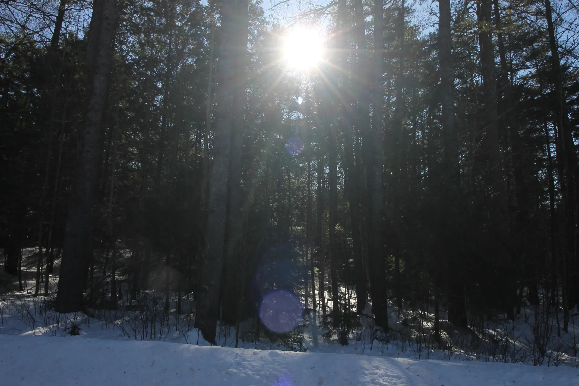 00 Covered Bridge Road Thornton NH 03285