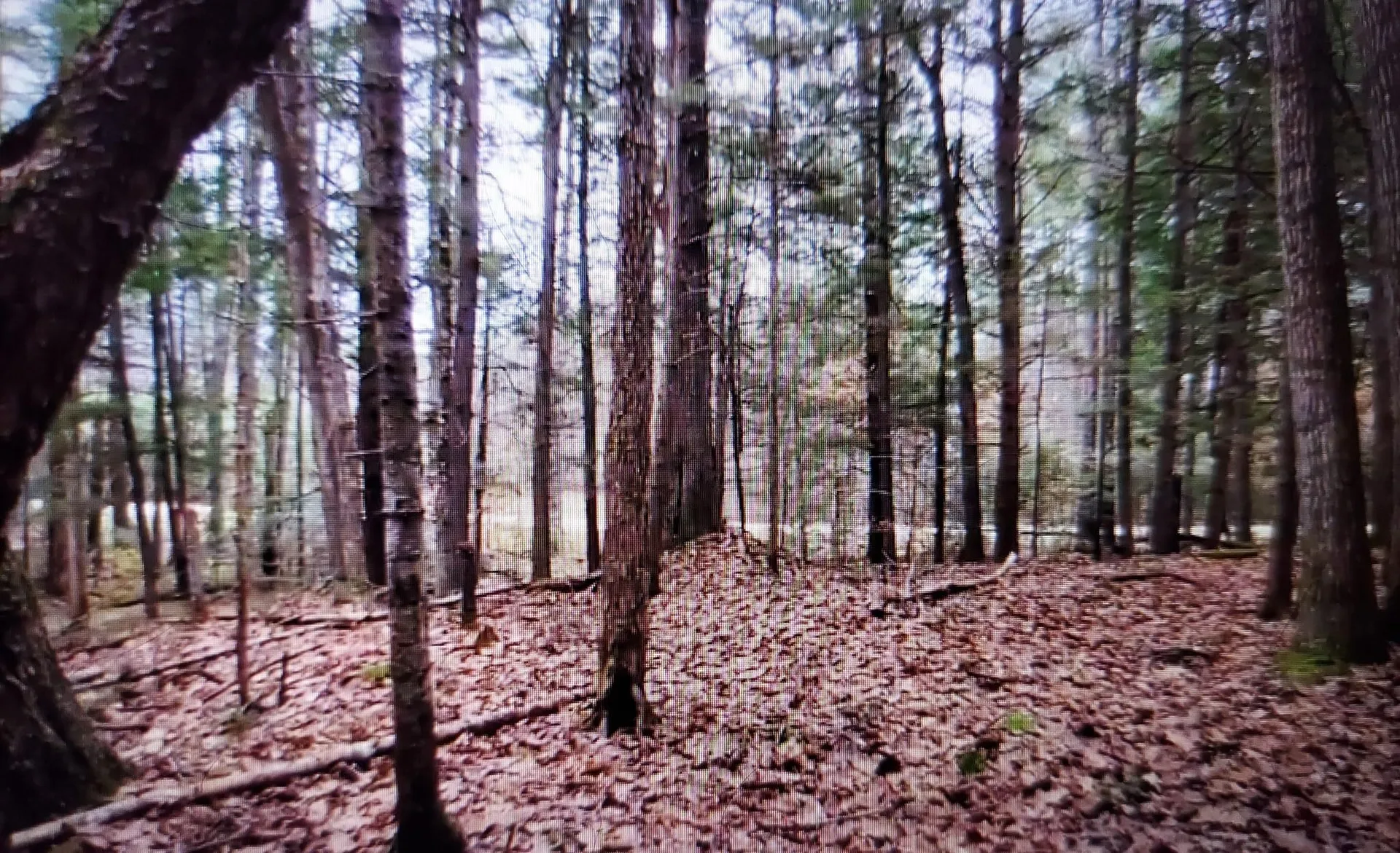 00 Covered Bridge Road Thornton NH 03285