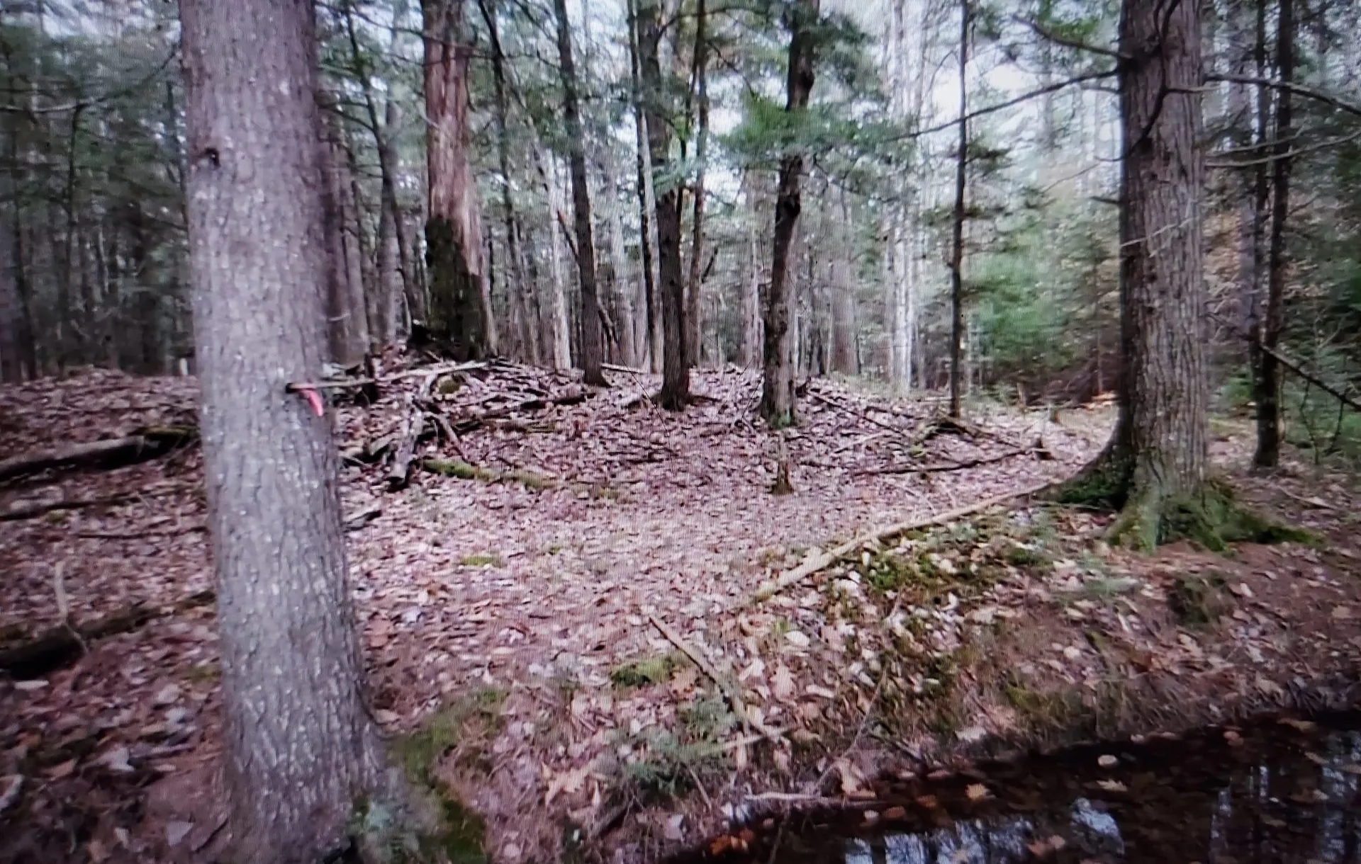 00 Covered Bridge Road Thornton NH 03285