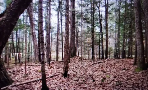 00 Covered Bridge Road Thornton NH 03285